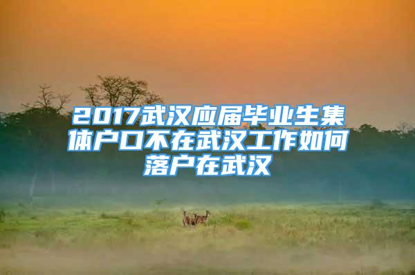 2017武漢應(yīng)屆畢業(yè)生集體戶口不在武漢工作如何落戶在武漢