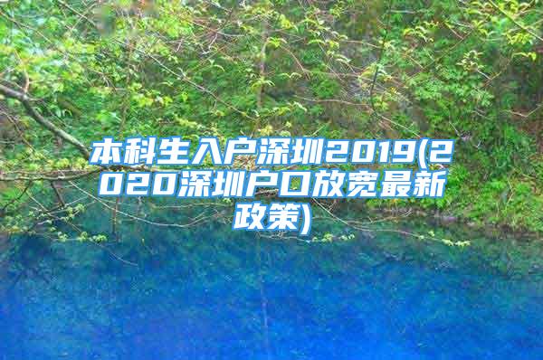 本科生入戶深圳2019(2020深圳戶口放寬最新政策)