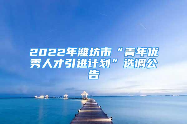 2022年濰坊市“青年優(yōu)秀人才引進計劃”選調(diào)公告