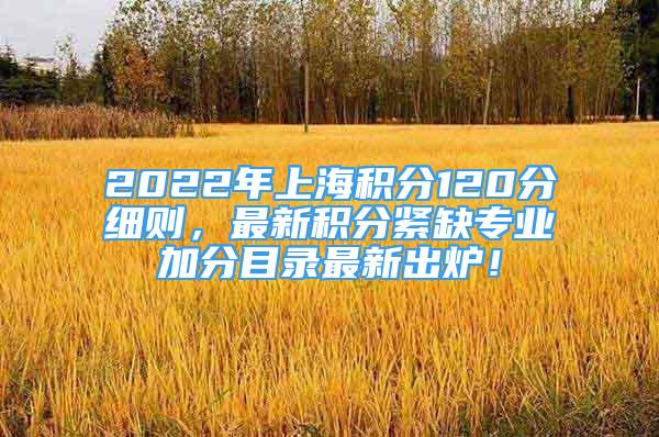 2022年上海積分120分細則，最新積分緊缺專業(yè)加分目錄最新出爐！