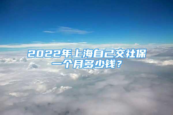 2022年上海自己交社保一個月多少錢？