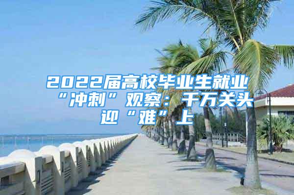 2022屆高校畢業(yè)生就業(yè)“沖刺”觀察：千萬關(guān)頭迎“難”上