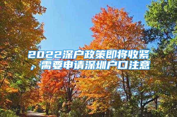 2022深戶政策即將收緊，需要申請深圳戶口注意