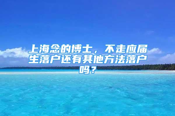 上海念的博士，不走應(yīng)屆生落戶還有其他方法落戶嗎？