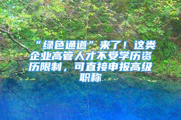 “綠色通道”來了！這類企業(yè)高管人才不受學歷資歷限制，可直接申報高級職稱