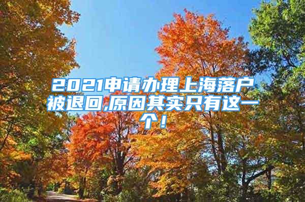 2021申請辦理上海落戶被退回,原因其實(shí)只有這一個(gè)！