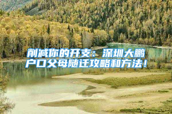 削減你的開支：深圳大鵬戶口父母隨遷攻略和方法！