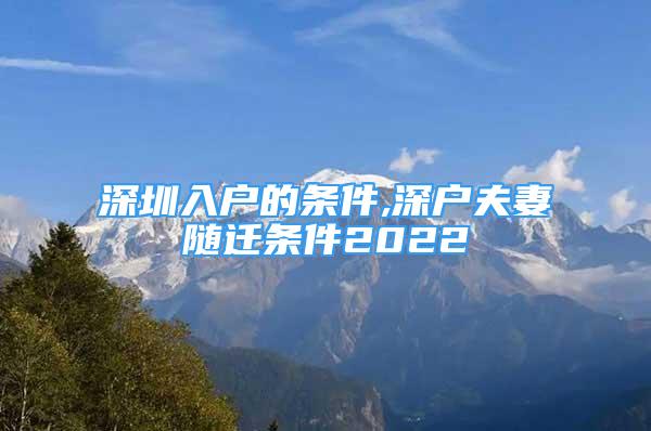 深圳入戶的條件,深戶夫妻隨遷條件2022