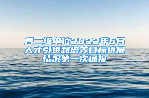 各二級單位2022年6月人才引進(jìn)和培養(yǎng)目標(biāo)進(jìn)展情況第一次通報(bào)