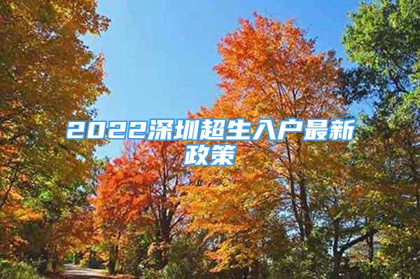 2022深圳超生入戶最新政策