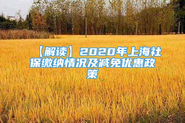 【解讀】2020年上海社保繳納情況及減免優(yōu)惠政策