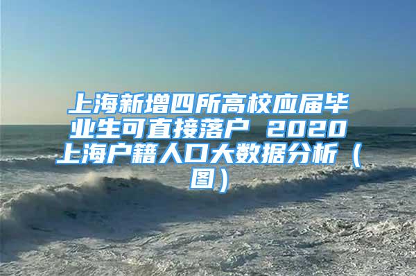 上海新增四所高校應(yīng)屆畢業(yè)生可直接落戶 2020上海戶籍人口大數(shù)據(jù)分析（圖）