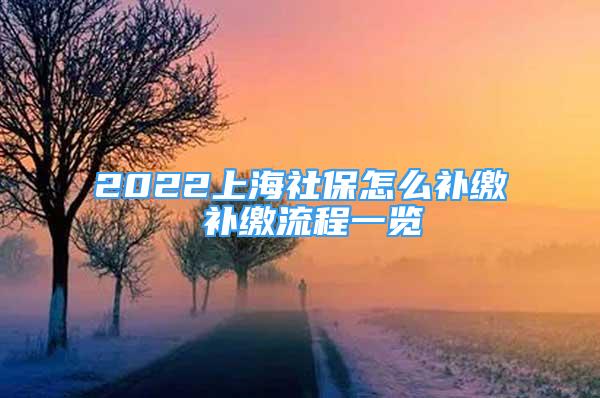 2022上海社保怎么補繳 補繳流程一覽