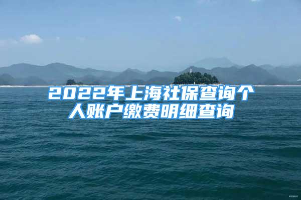 2022年上海社保查詢(xún)個(gè)人賬戶(hù)繳費(fèi)明細(xì)查詢(xún)