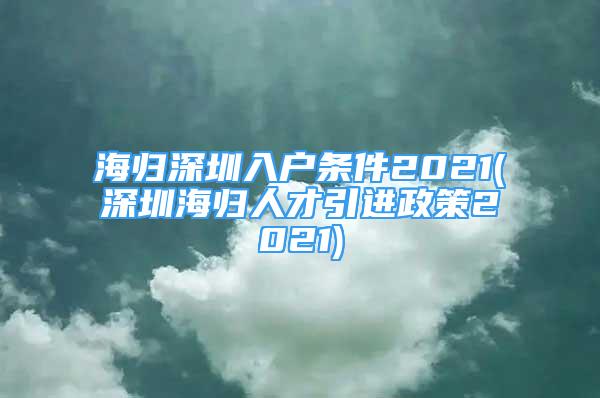 海歸深圳入戶條件2021(深圳海歸人才引進政策2021)