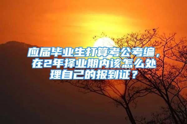 應(yīng)屆畢業(yè)生打算考公考編，在2年擇業(yè)期內(nèi)該怎么處理自己的報到證？