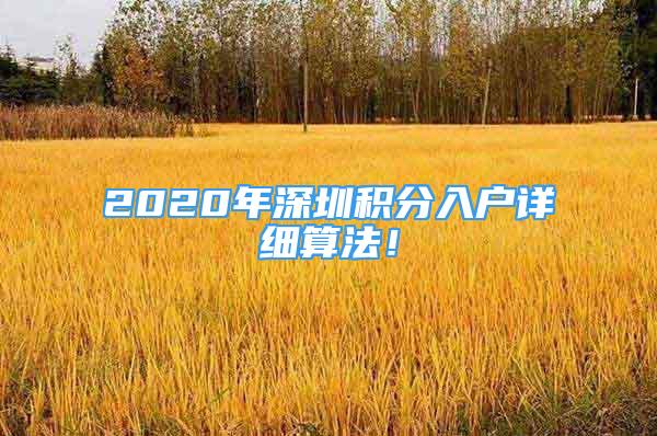 2020年深圳積分入戶詳細(xì)算法！