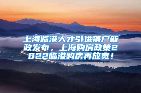 上海臨港人才引進(jìn)落戶新政發(fā)布，上海購(gòu)房政策2022臨港購(gòu)房再放寬！