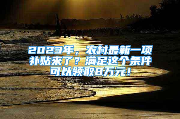 2023年，農(nóng)村最新一項(xiàng)補(bǔ)貼來(lái)了？滿足這個(gè)條件可以領(lǐng)取8萬(wàn)元！