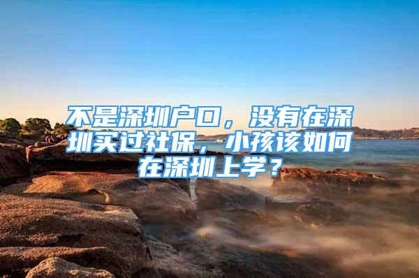 不是深圳戶口，沒有在深圳買過社保，小孩該如何在深圳上學？