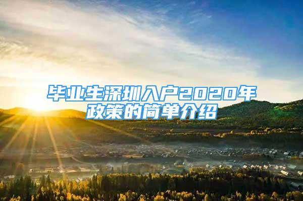 畢業(yè)生深圳入戶2020年政策的簡單介紹