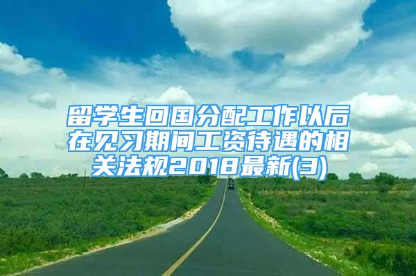 留學(xué)生回國分配工作以后在見習(xí)期間工資待遇的相關(guān)法規(guī)2018最新(3)