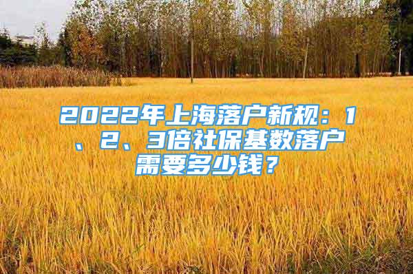 2022年上海落戶新規(guī)：1、2、3倍社?；鶖?shù)落戶需要多少錢？