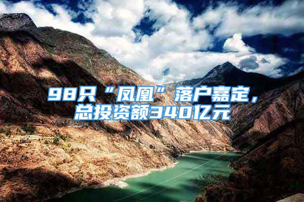 98只“鳳凰”落戶嘉定，總投資額340億元