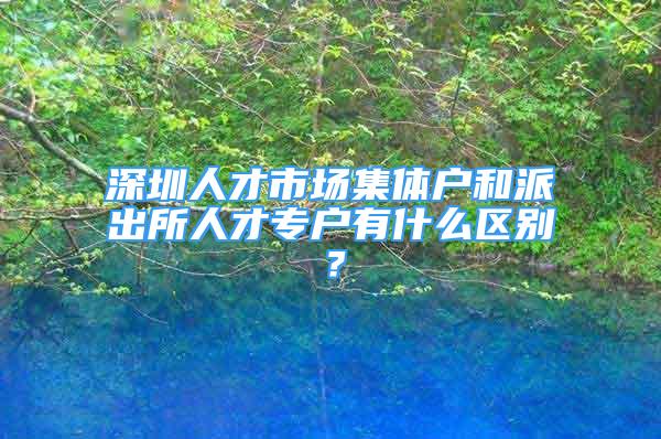 深圳人才市場(chǎng)集體戶和派出所人才專戶有什么區(qū)別？