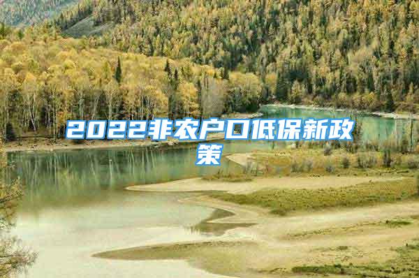 2022非農(nóng)戶口低保新政策