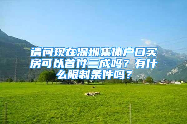 請(qǐng)問現(xiàn)在深圳集體戶口買房可以首付三成嗎？有什么限制條件嗎？