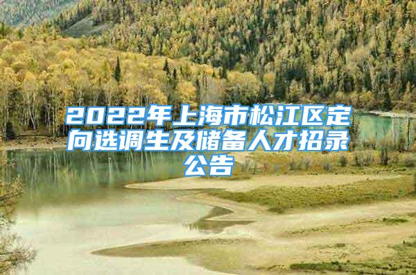 2022年上海市松江區(qū)定向選調生及儲備人才招錄公告