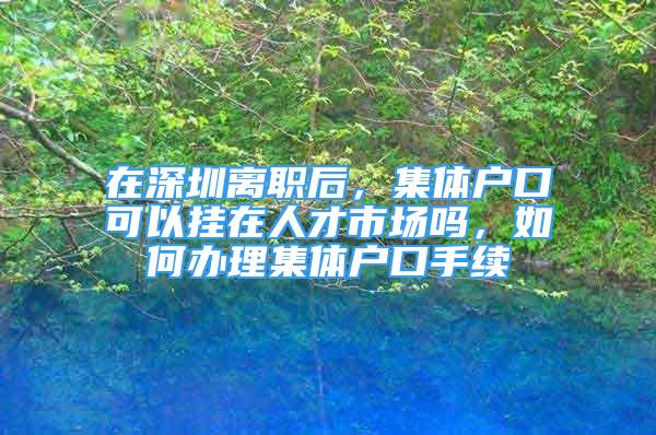 在深圳離職后，集體戶(hù)口可以?huà)煸谌瞬攀袌?chǎng)嗎，如何辦理集體戶(hù)口手續(xù)