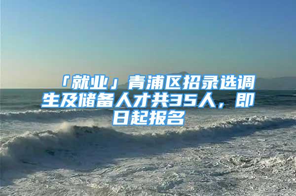 「就業(yè)」青浦區(qū)招錄選調(diào)生及儲備人才共35人，即日起報(bào)名