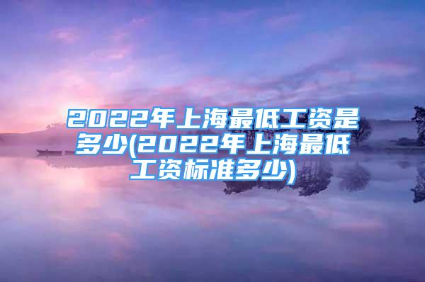 2022年上海最低工資是多少(2022年上海最低工資標(biāo)準(zhǔn)多少)