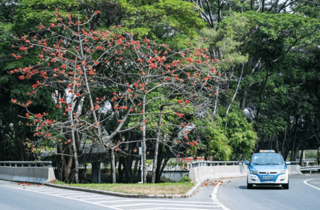 深圳龍華區(qū)港澳臺居民居住證補(bǔ)辦地點 深圳龍華區(qū)港澳臺居民居住證補(bǔ)辦地點