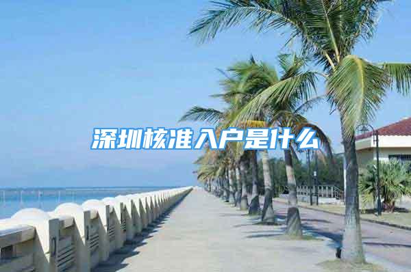 深圳核準(zhǔn)入戶是什么