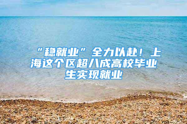 “穩(wěn)就業(yè)”全力以赴！上海這個區(qū)超八成高校畢業(yè)生實現就業(yè)