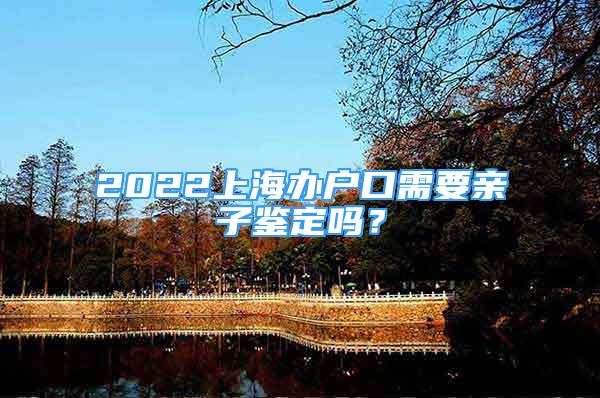 2022上海辦戶口需要親子鑒定嗎？