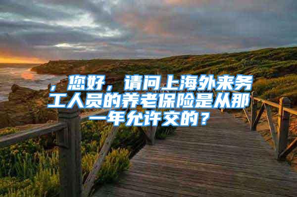 ，您好，請問上海外來務工人員的養(yǎng)老保險是從那一年允許交的？