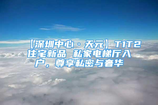 【深圳中心·天元】T1T2住宅新品 私家電梯廳入戶(hù)，尊享私密與奢華