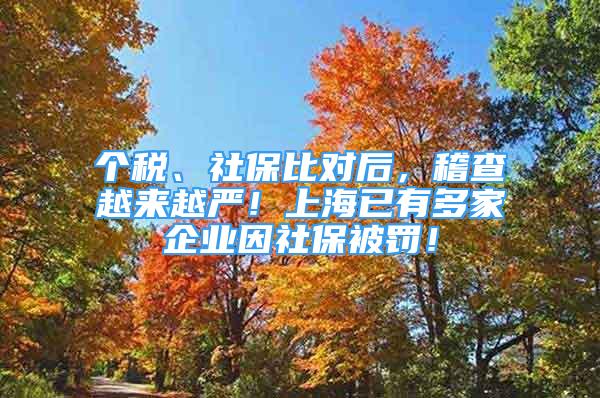 個稅、社保比對后，稽查越來越嚴(yán)！上海已有多家企業(yè)因社保被罰！