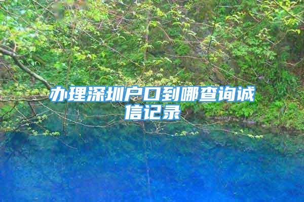 辦理深圳戶口到哪查詢誠信記錄