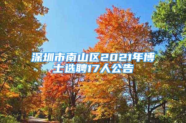 深圳市南山區(qū)2021年博士選聘17人公告