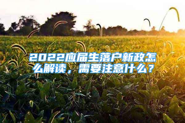 2022應屆生落戶新政怎么解讀，需要注意什么？