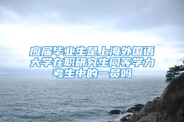 應(yīng)屆畢業(yè)生是上海外國(guó)語(yǔ)大學(xué)在職研究生同等學(xué)力考生中的一員嗎