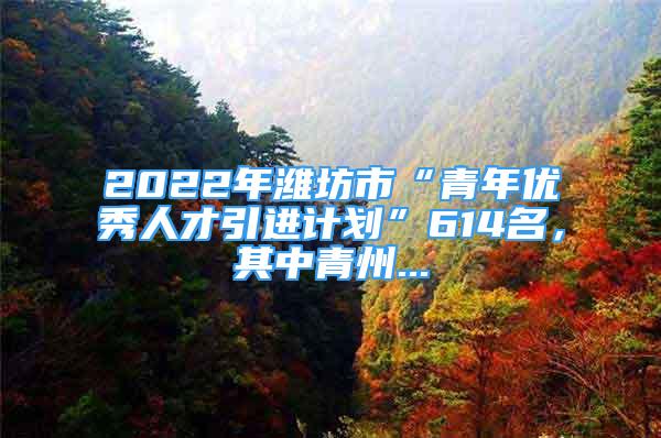 2022年濰坊市“青年優(yōu)秀人才引進(jìn)計(jì)劃”614名，其中青州...