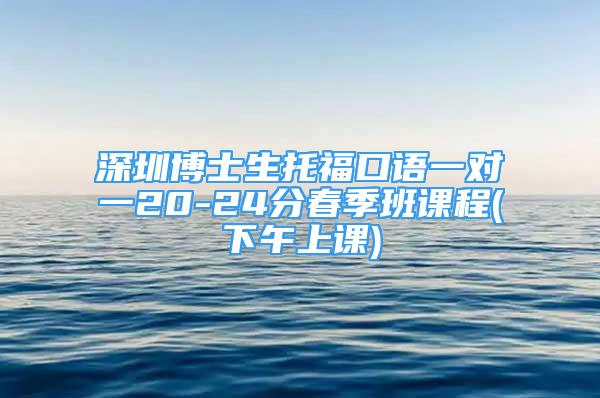 深圳博士生托?？谡Z一對一20-24分春季班課程(下午上課)