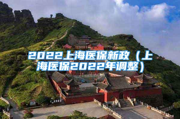 2022上海醫(yī)保新政（上海醫(yī)保2022年調(diào)整）