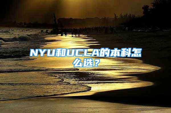 NYU和UCLA的本科怎么選？